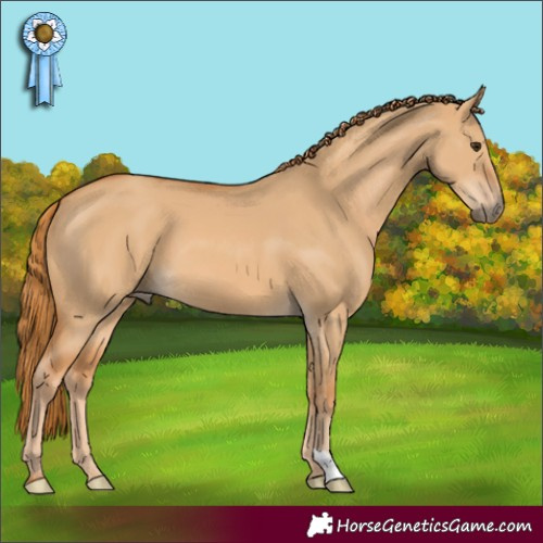 Horse Color:Red Dun