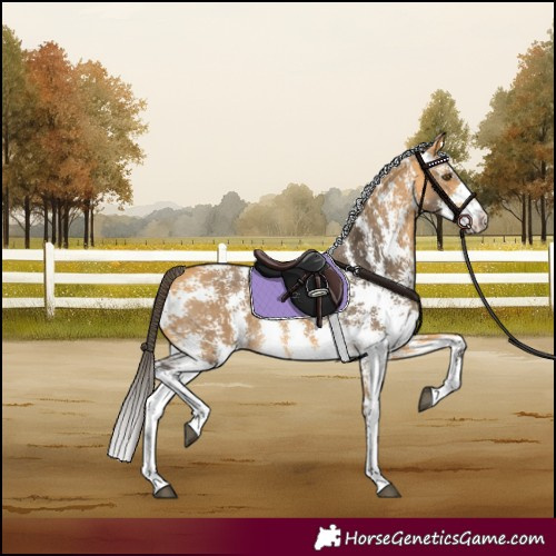 Horse Color:Buckskin Sabino 
