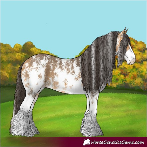 Horse Color:Buckskin Sabino 