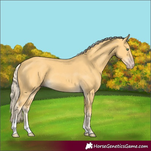 Horse Color:Gold Cream Champagne Tobiano 
