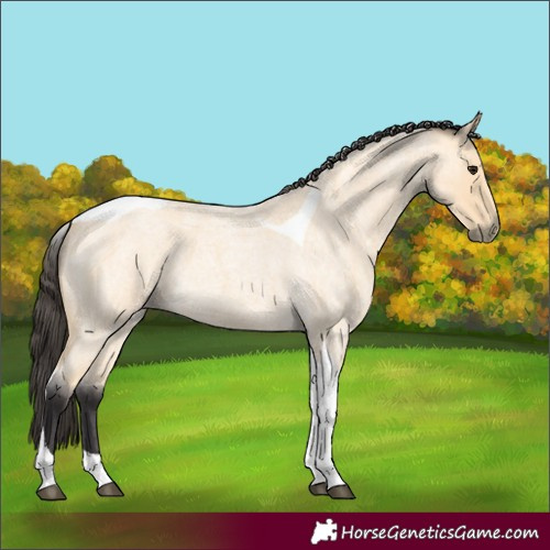 Horse Color:Buckskin Roan Tobiano 