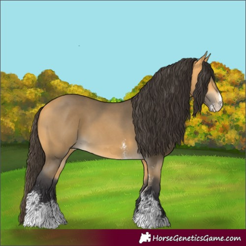 Horse Color:Buckskin Sabino
