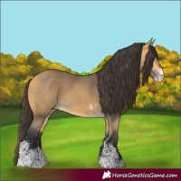 Horse Color:Buckskin Sabino 