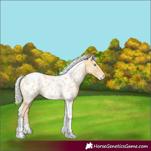 Horse Color:Silver Amber Cream Champagne Dun Tobiano Frame Blanket Rabicano