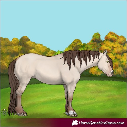 Horse Color:Amber Champagne Dun 