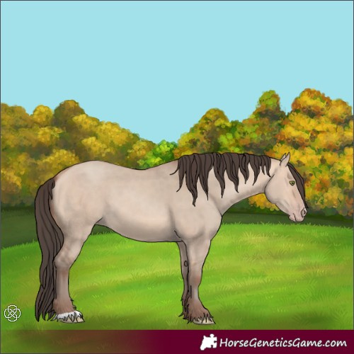 Horse Color:Amber Champagne Dun