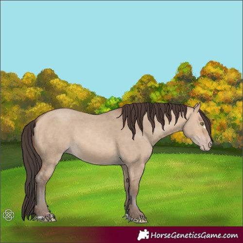 Horse Color:Amber Champagne Dun