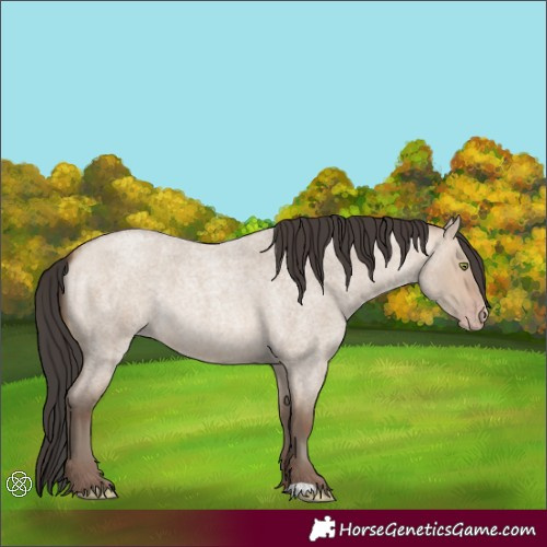 Horse Color:Sable Champagne Roan Dun 