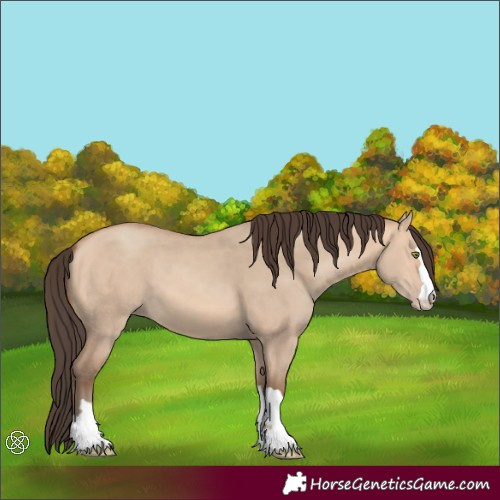 Horse Color:Amber Champagne Dun