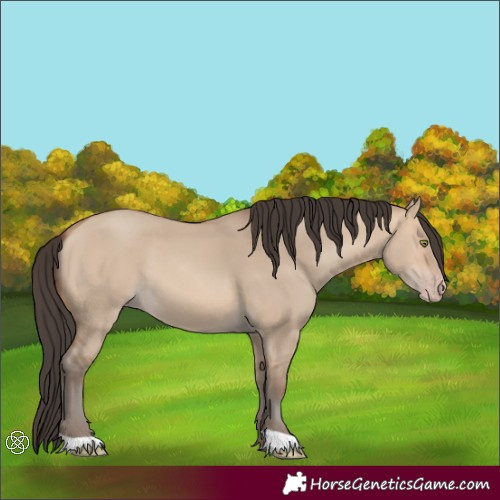 Horse Color:Amber Champagne Dun 