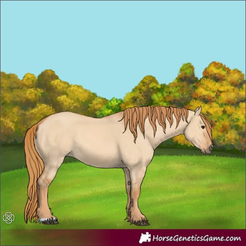 Horse Color:Red Dun