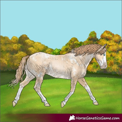 Horse Color:White Spotted Buckskin Pearl Splash