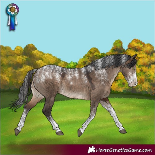 Horse Color:Powder White Brown Dun 