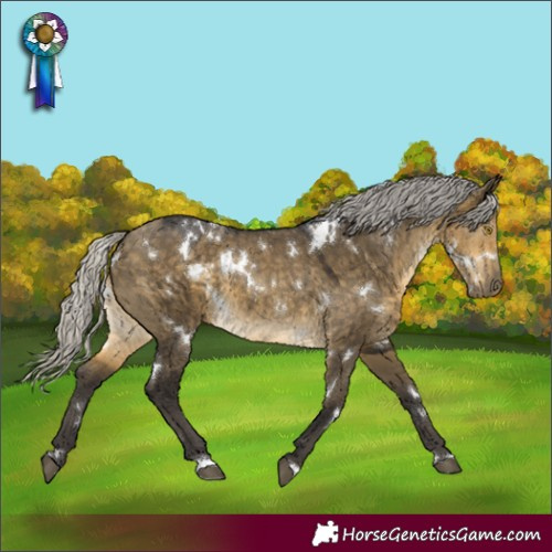 Horse Color:White Spotted Silver Buckskin Dun