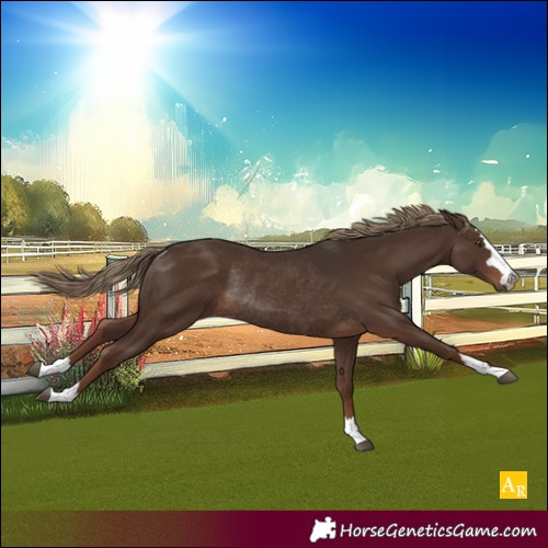 Horse Color:Unknown 