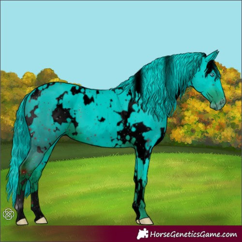 Horse Color:ERROR: UNKNOWN ANOMALY