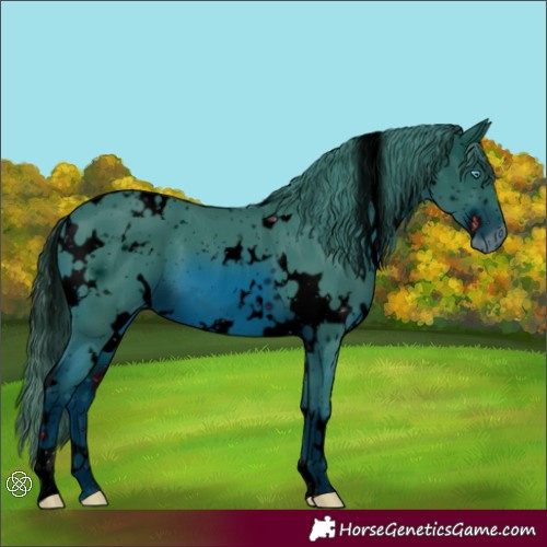 Horse Color:ERROR: UNKNOWN ANOMALY