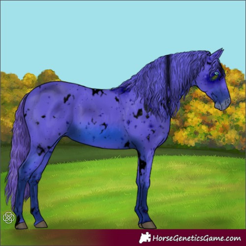 Horse Color:ERROR: UNKNOWN ANOMALY