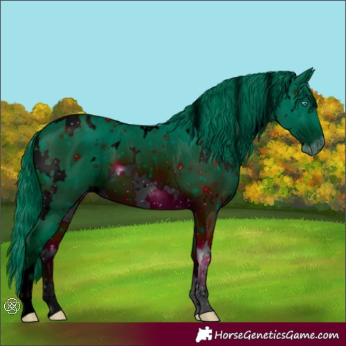 Horse Color:ERROR: UNKNOWN ANOMALY