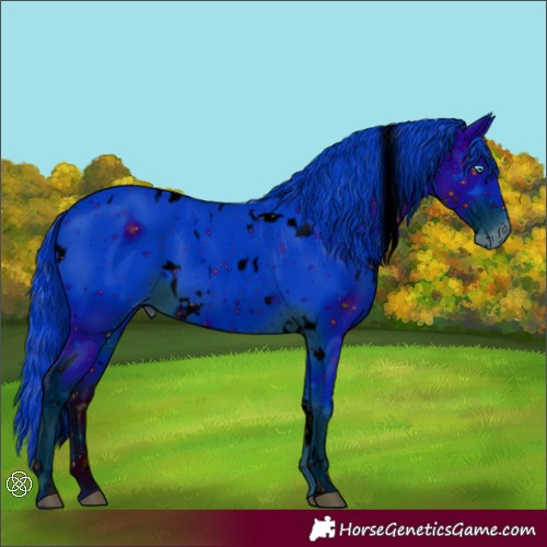 Horse Color:ERROR: UNKNOWN ANOMALY