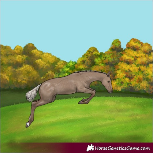 Horse Color:Silver Grullo