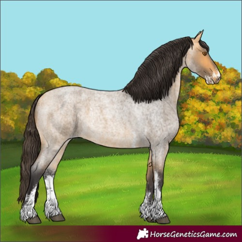 Horse Color:Buckskin Roan Sabino 