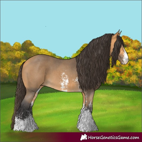 Horse Color:Buckskin Sabino
