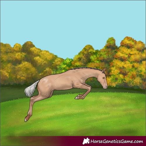 Horse Color:Silver Amber Champagne 