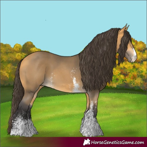 Horse Color:Buckskin Sabino 