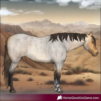 Horse Color:Buckskin Roan Sabino