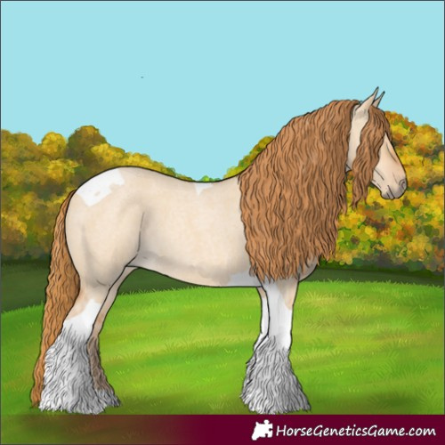 Horse Color:Red Dun Roan Tobiano 