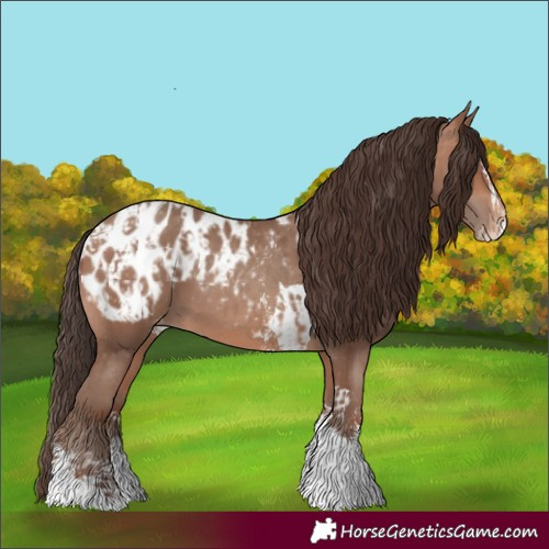 Horse Color:Sable Champagne Sabino Tobiano Appaloosa  and Sable Champagne Sabino Splash Tobiano Appaloosa 