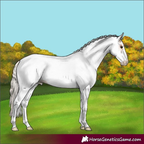 Horse Color:White Spotted Chocolate Silver Bay 