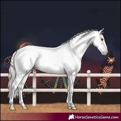 Horse Color:White Spotted Chocolate Silver Bay