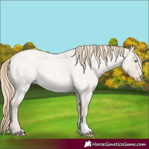 Horse Color:Smoky Creme Roan Dun 
