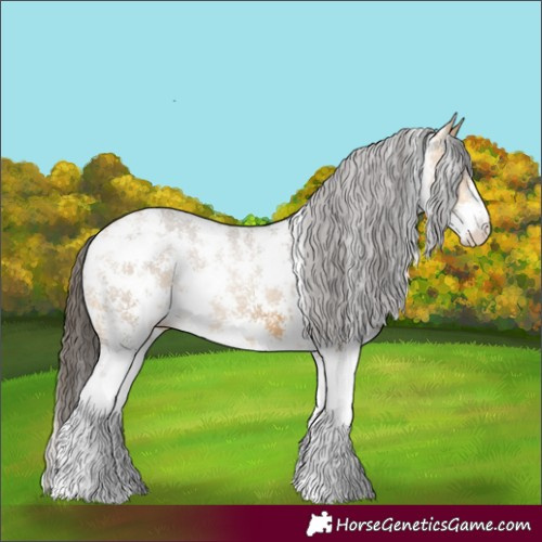 Horse Color:Buckskin Sabino