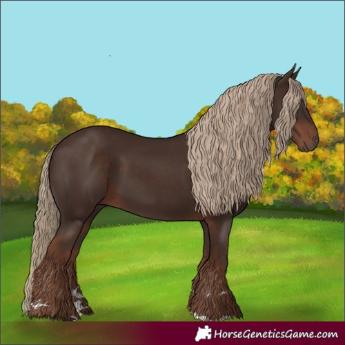 Horse Color:Liver Chestnut 