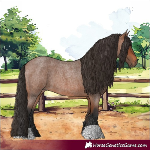 Horse Color:Bay Roan