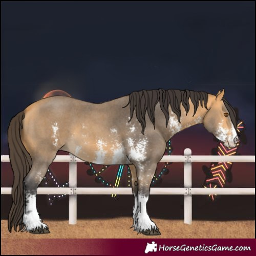 Horse Color:Buckskin Sabino 