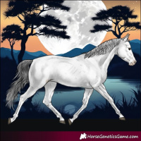 Horse Color:Black Sabino Rabicano 