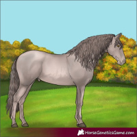 Horse Color:Platinum Liver Chestnut Pearl
