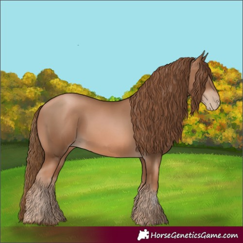 Horse Color:Liver Chestnut Pearl