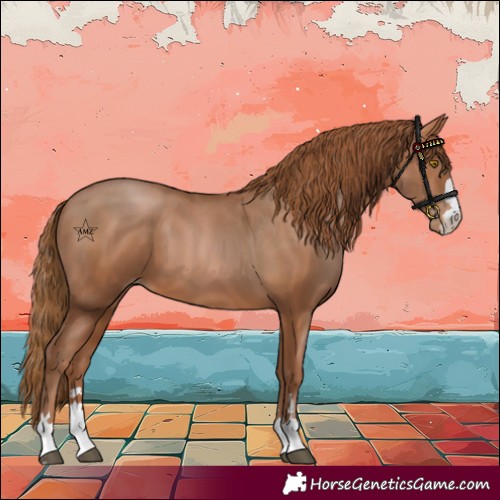 Horse Color:Brown Pearl 