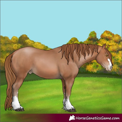 Horse Color:Brown Pearl 
