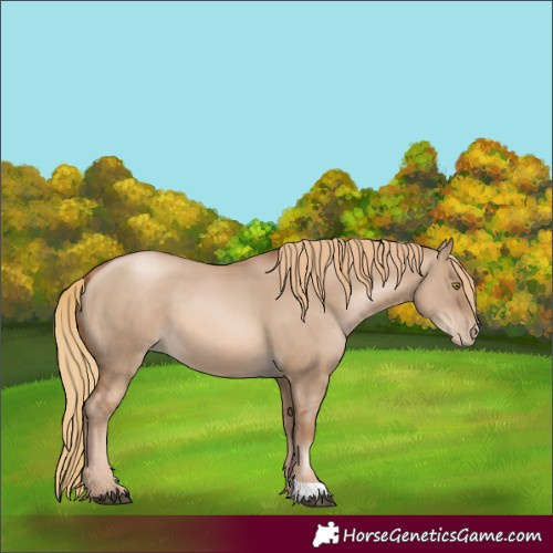 Horse Color:Liver Red Dun Pearl 