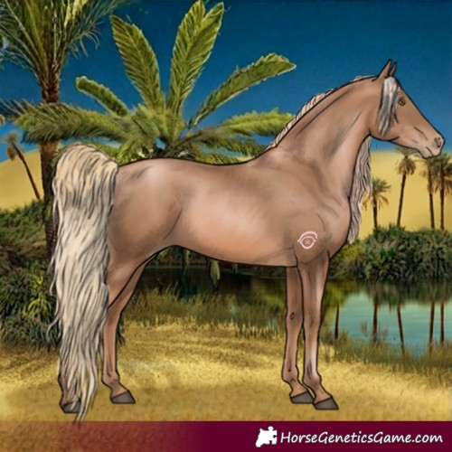 Horse Color:Liver Chestnut Pearl 