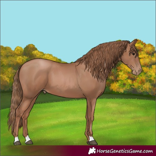 Horse Color:Black Pearl 