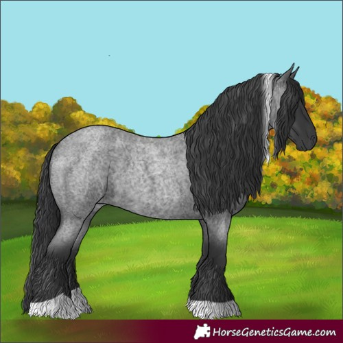 Horse Color:Blue Roan Tobiano 