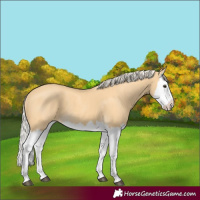 Horse Color:Palomino Splash 