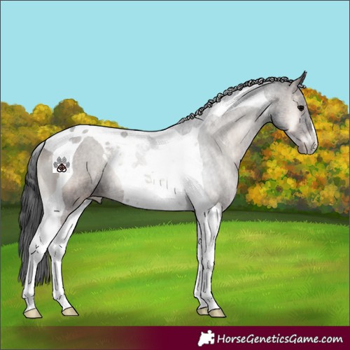 Horse Color:Blue Onyx Tobiano